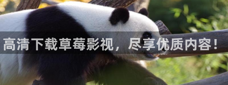 denon天龙：高清下载草莓影视，尽享优质内容！