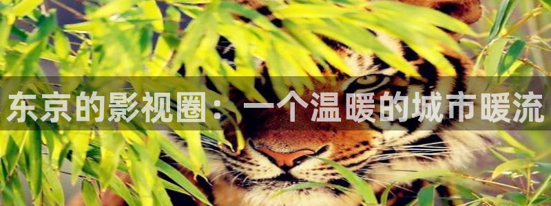 天龙免费影院：东京的影视圈：一个温暖的城市暖流