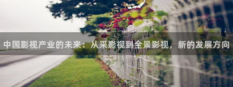 天龙在线影院：中国影视产业的未来：从采影视到全景影视，新的发展方向