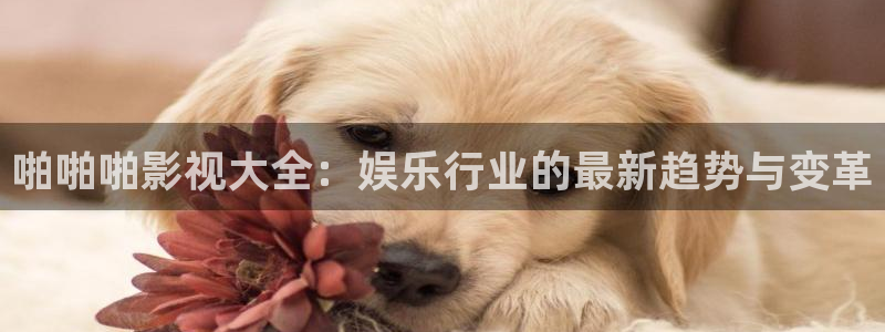 如懿传天龙影院观看：啪啪啪影视大全：娱乐行业的最新趋势与变革