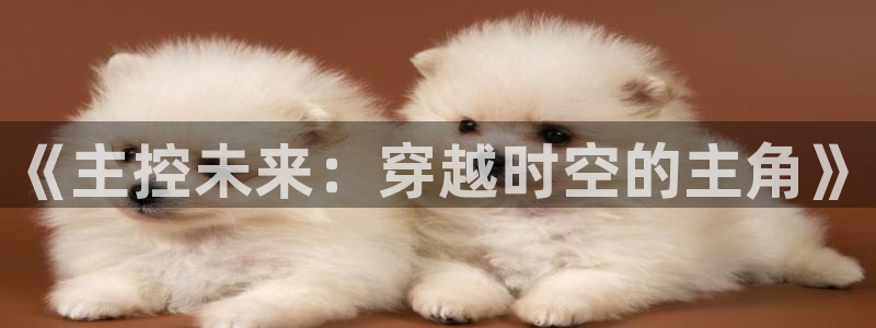 天龙影院,：《主控未来：穿越时空的主角》