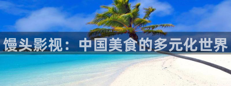 天龙光电：馒头影视：中国美食的多元化世界