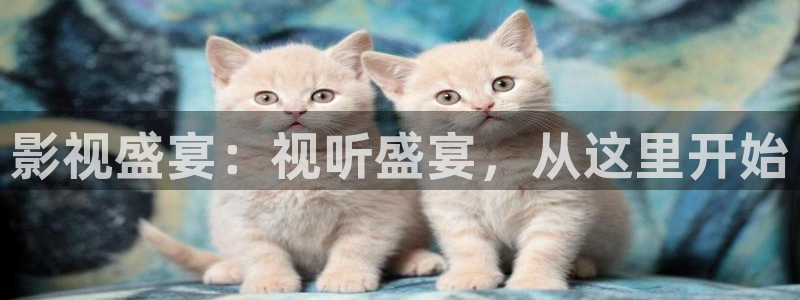 天龙影院2024